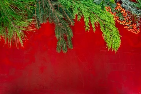 Background for christmas Stock Photos