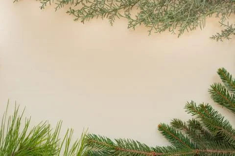 Background for christmas Stock Photos