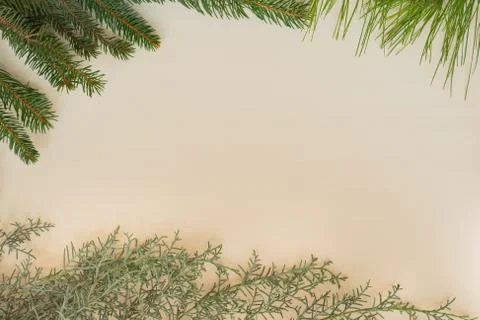 Background for christmas Stock Photos