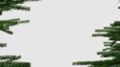 The background of the Christmas tree branches animation has an alpha channel Stock Footage 201673449