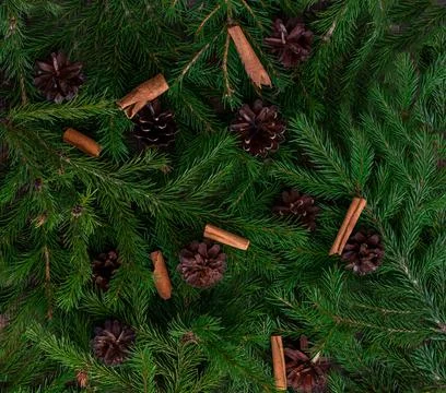 Background of Christmas tree branches, with small cones and cinnamon sticks Stock Photos