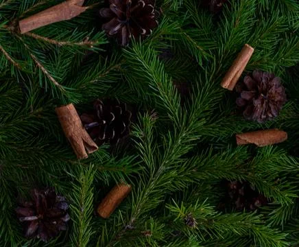 Background of Christmas tree branches, with small cones and cinnamon sticks Stock Photos
