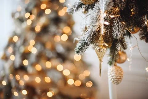 In Background is Christmas Tree with Lights in Soft Focus. Christmas Tree Bra Stock Photos