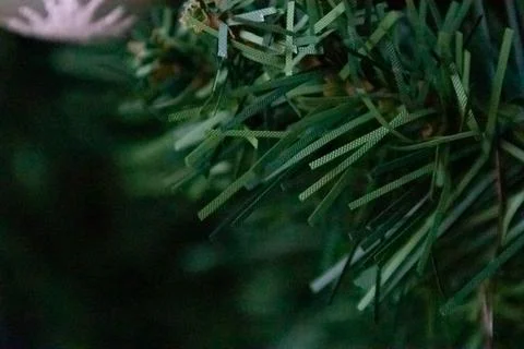 A background of a christmas tree Stock Photos