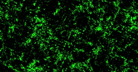 Background Cinders Green Stockbeeldmateriaal 155052566