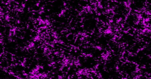 Background Cinders Pink Stock Footage 155052721