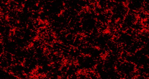 Background Cinders Red Stock Footage 155052331