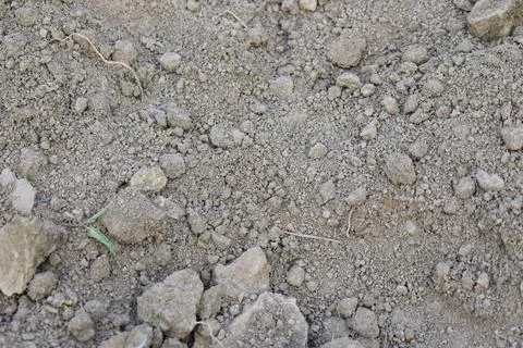 Background of clay soil Foto stock
