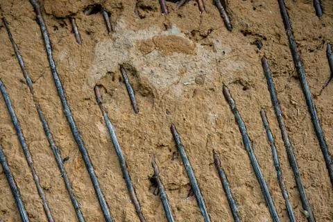 Background from a clay wall and branches. Stock Photos