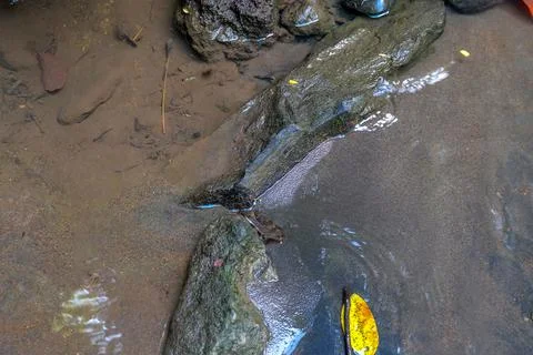 The background of a clear river puddle. There is black sand, river water and  Stock Photos