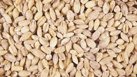 Background of clockwise rotating grain cereals top view Stock Footage 99770656