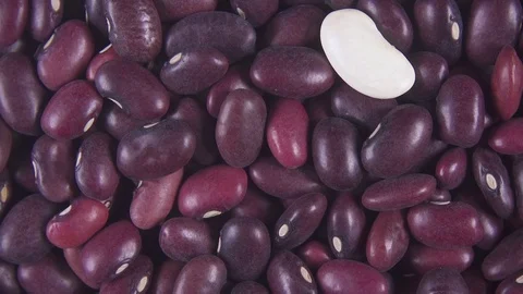 Background of clockwise rotating grain cereals top view Video stock 99770936