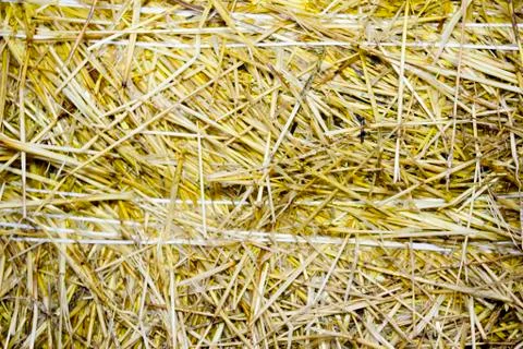 Background of close-up bale of straw Stock Photos