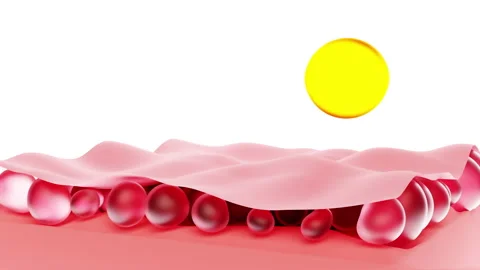 Background with close-up copy space of skin cells regenerating with oil. Stock Footage 205143172