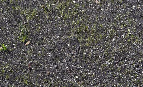 Background from a close-up of organic soil 写真素材