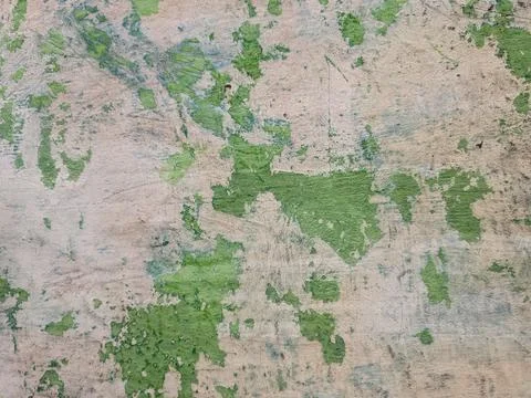 Background with a close-up texture that resembles a map pattern with variou.. Stock Photos