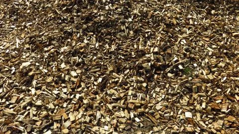 Background With Close-Up Of Thin Wood Chips Stock Photos