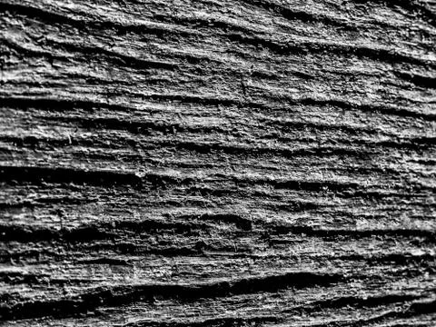 Background close up view of cracked rough tree trunk bark texture black and w Stock Photos