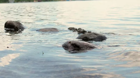 Background Close View Of Smooth Rocks At Sunset. Warm Reflections On Small Stock Footage 344879935