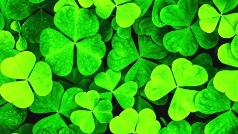 Background with clover for Saint Patrick's day. 4K motion video with a shamrock. Stock Footage 169523228