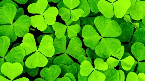 Background with clover for Saint Patrick's day. 4K motion video with a shamrock. Stock Footage 169524190