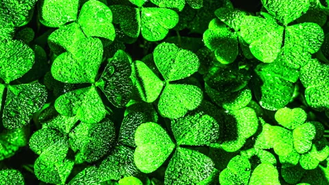 Background with clover for Saint Patrick's day. 4K motion video with a shamrock. Stock Footage 169525397
