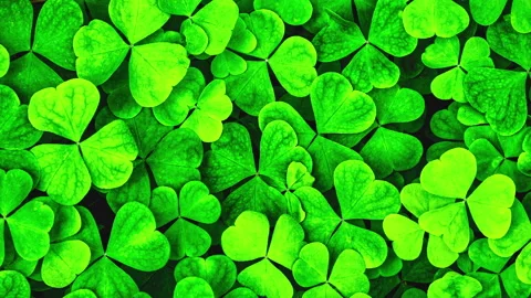 Background with clover for Saint Patrick's day. 4K motion video with a shamrock. Stock Footage 169525557