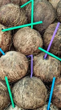 Background of coconut with plastic drinking tubes, vertical frame Stock Photos