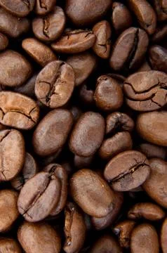 Background of coffee bean Stock Photos