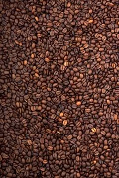 Background of coffee bean 스톡 사진