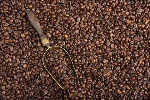 Background with coffee beans and retro scoop Foto stock
