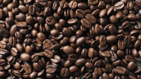 Background of coffee beans on a dark turquoise background. Stock Footage 268411179