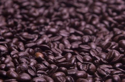Background of coffee beans Stock Photos