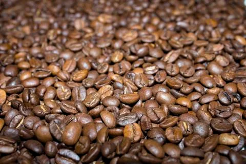 Background with coffee beans Stock Photos