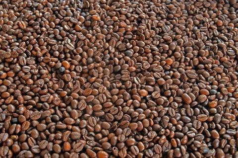 Background of coffee beans Stock Photos