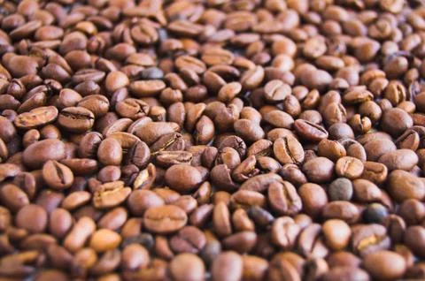 Background of coffee beans Stock Photos
