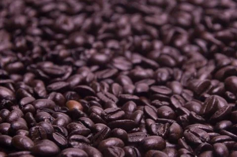 Background of Coffee Beans Foto stock