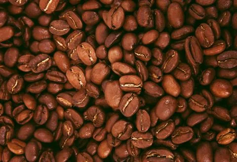 Background with the coffee beans Stock Photos