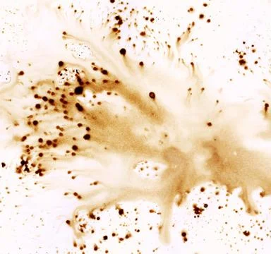 Background, coffee stains Stock Illustration