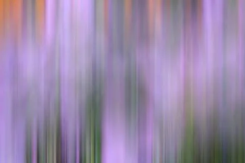 Background Color Purple Motion Nature. Stock Photos