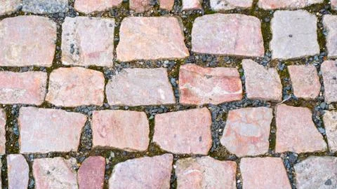 Background of colored paving slabs Фото