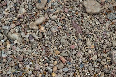 Background of colored pebbles. Texture of colored pebbles Stock Photos