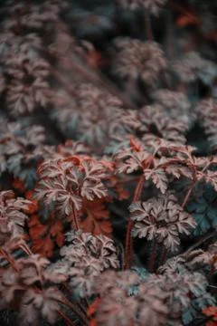 Background of colorful grass Stock Photos