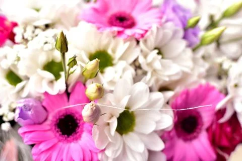 Background from colorful wedding bouquet. Close-up detail. 스톡 사진