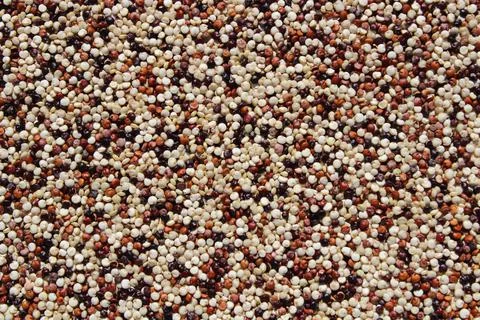 A background with colourful quinoa Stock Photos