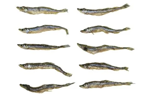 Background composition of dry small European smelt fishes Stock Photos