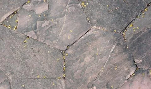 Background Concrete Old Texture Wall Stock Photos