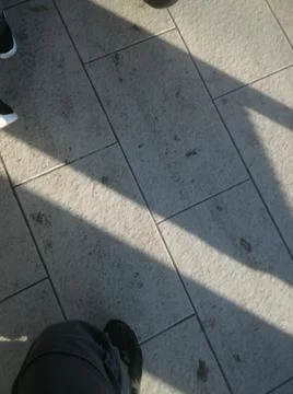 Background with concrete in a sidewalk with different elements in daylight Stock Photos