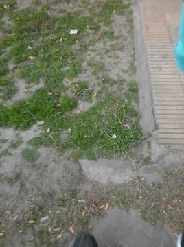 Background with concrete in a sidewalk with shadows with different elements i Stock Photos
