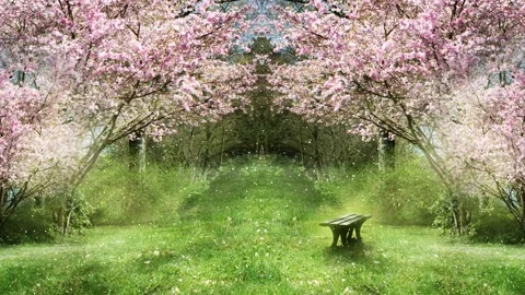 Background consisting of flowering cherrry trees and green grass Stock Footage 160814953